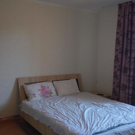 Central Apartment 2 Temeşvar Dış mekan fotoğraf