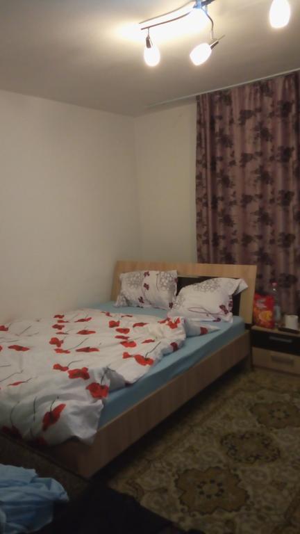 Central Apartment 2 Temeşvar Dış mekan fotoğraf