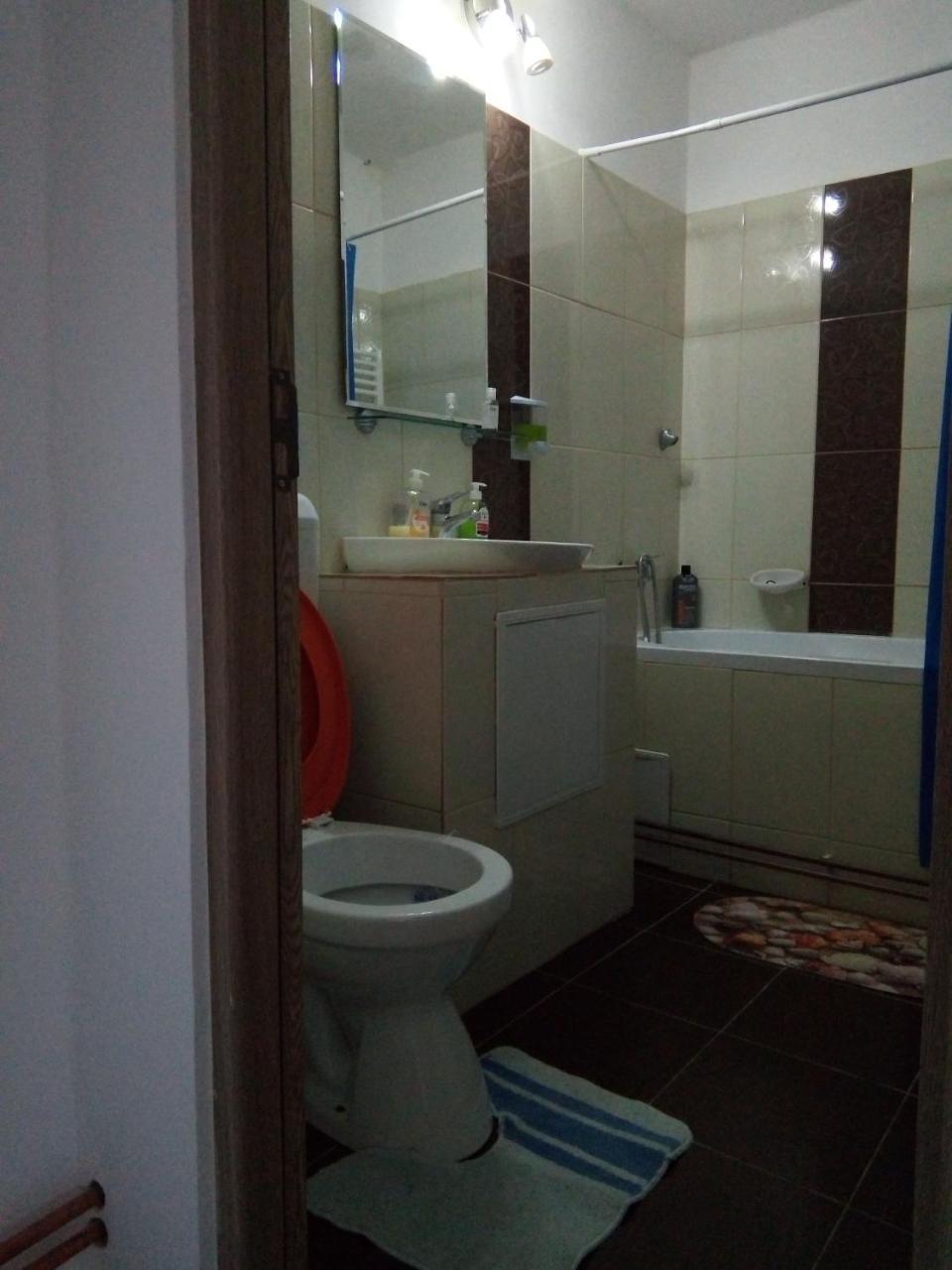 Central Apartment 2 Temeşvar Dış mekan fotoğraf